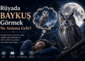 Rüyada baykuş görmek