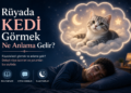 Rüyada Kedi Görmek Ne Anlama Gelir