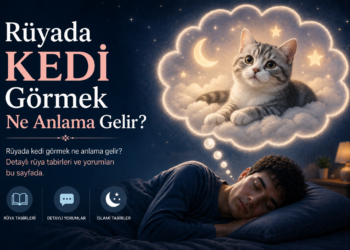 Rüyada Kedi Görmek Ne Anlama Gelir