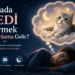 Rüyada Kedi Görmek Ne Anlama Gelir